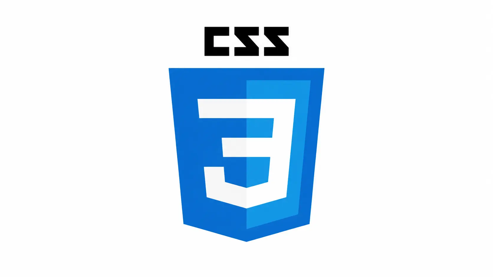 CSS3 Styling logo used in MD Shamim Mahmud's WordPress, SEO, automation and delivery workflow